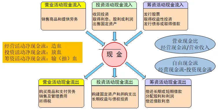 IMG_6770.png