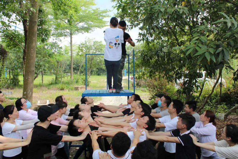 图片3.jpg 图片3.jpg